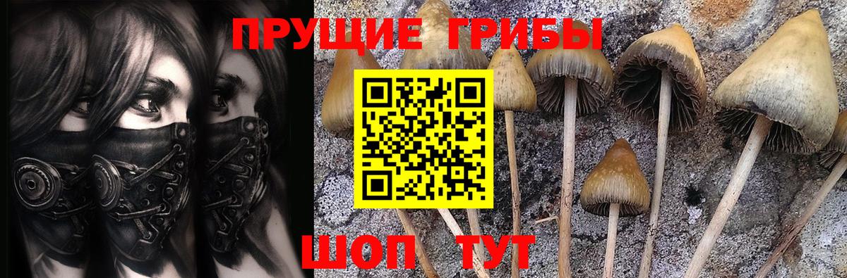 Галлюциногенные грибы прущие грибы Первоуральск
